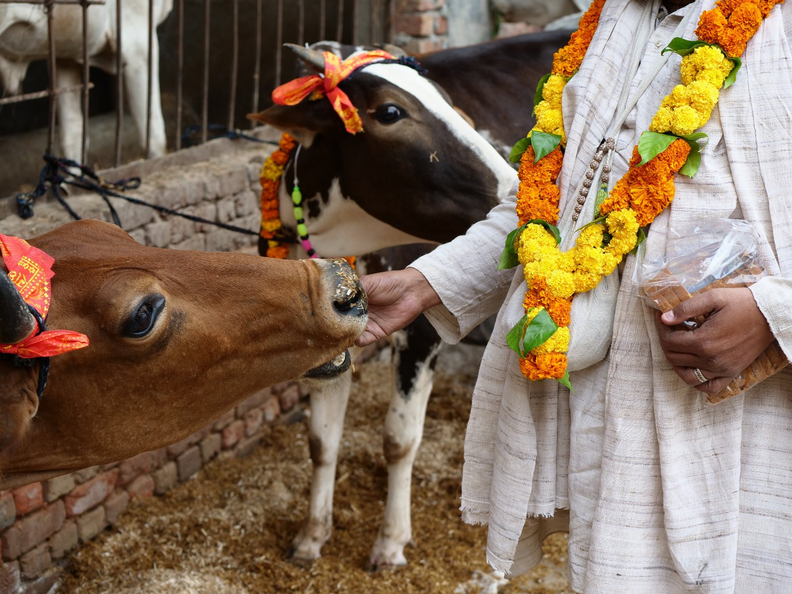  49 Gopashtami Radha kunda Govardhan 19.11.04